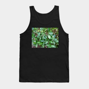 Garden Green Leaves Tank Top